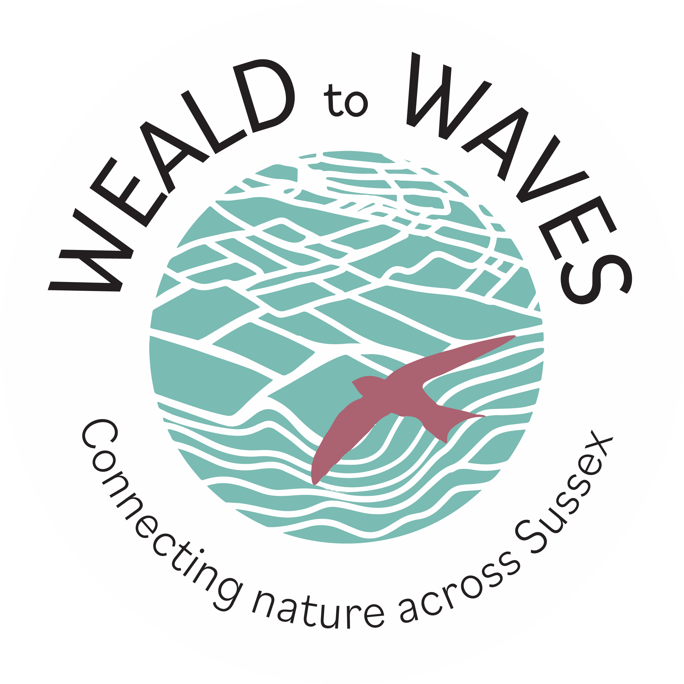 Weald to Waves