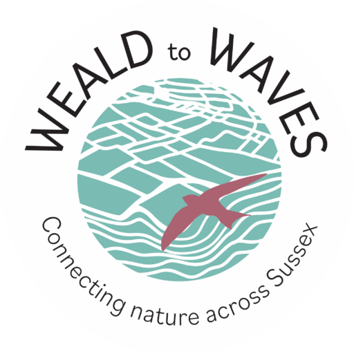 Weald to Waves Logo
