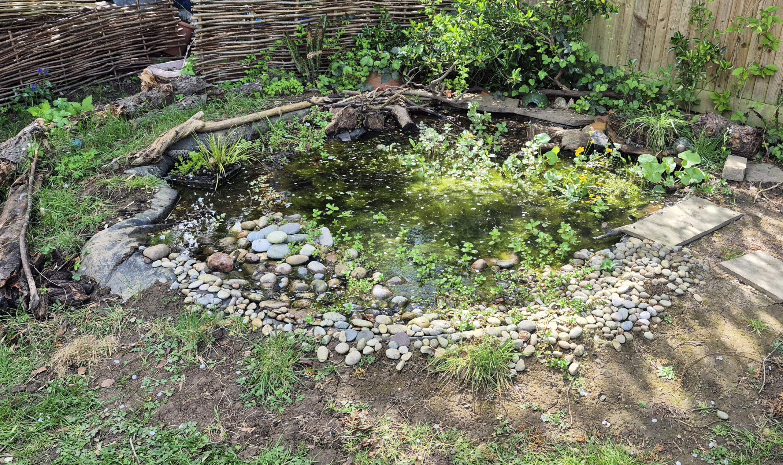 Garden Wildlife Pond Garden Wildlife Pond