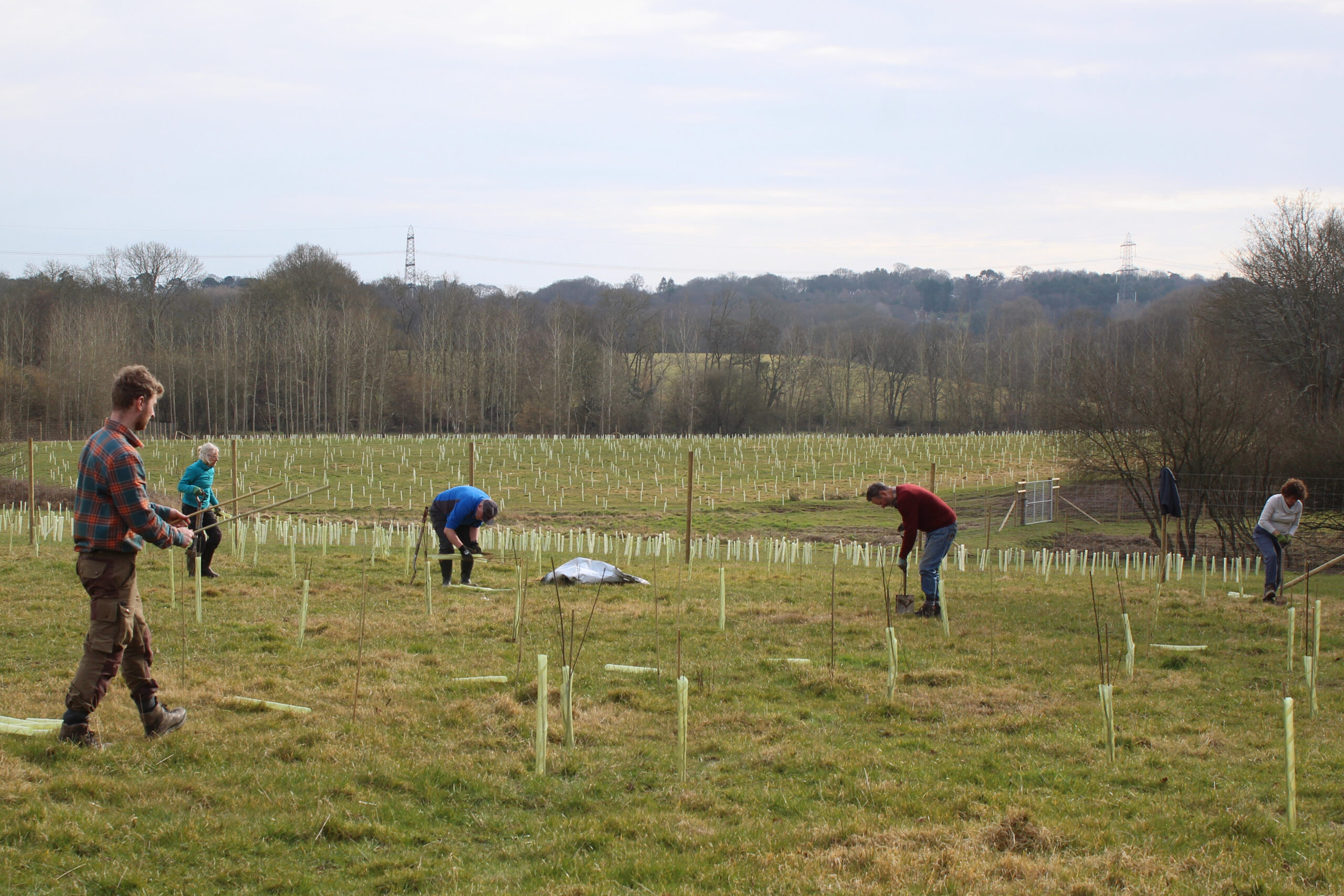 Scrubland planting at Wowo Campsite. Photo by Tanya Forbes Scrubland planting at Wowo Campsite. Photo by Tanya Forbes