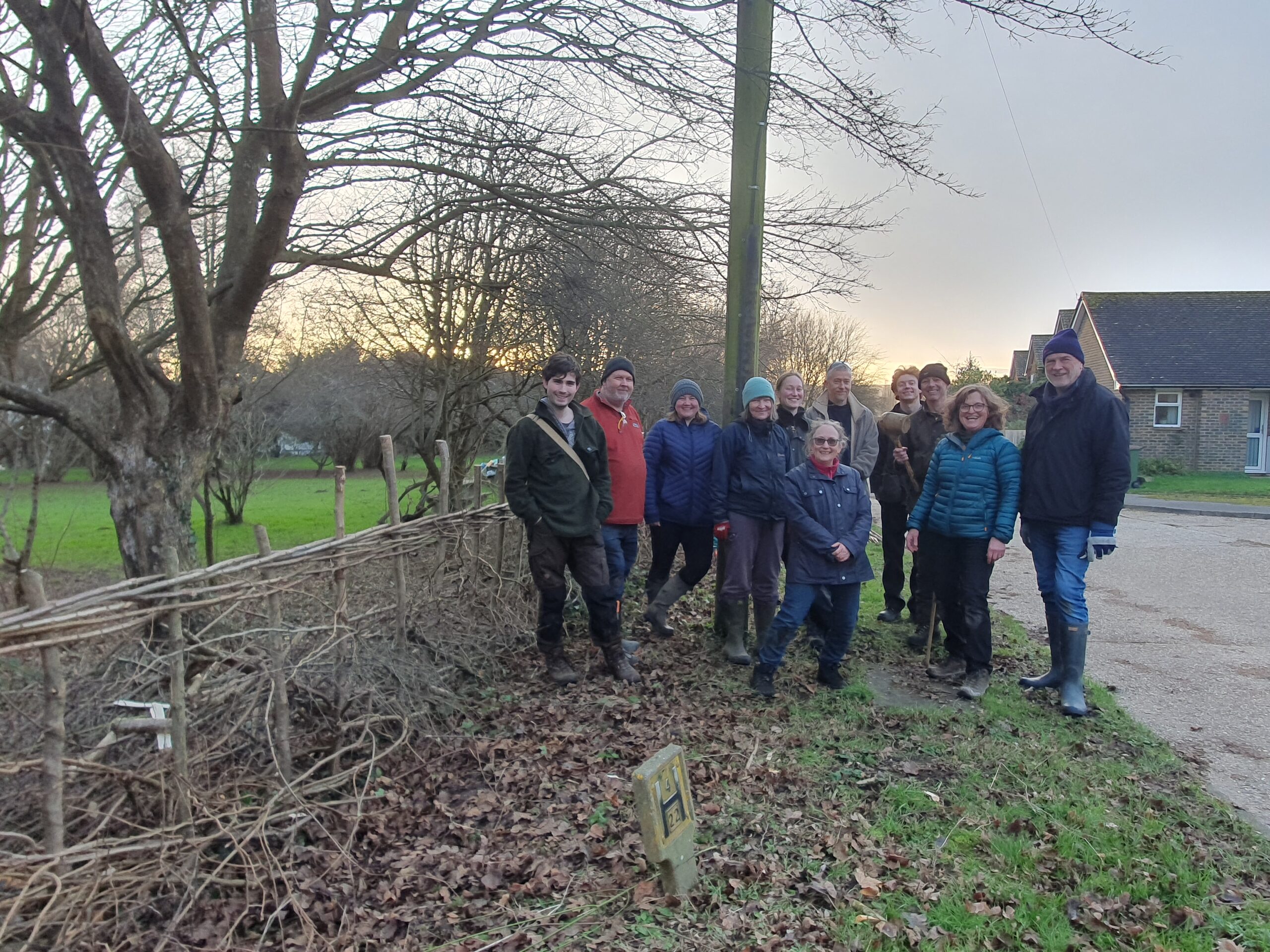 Hedgelaying Amberley