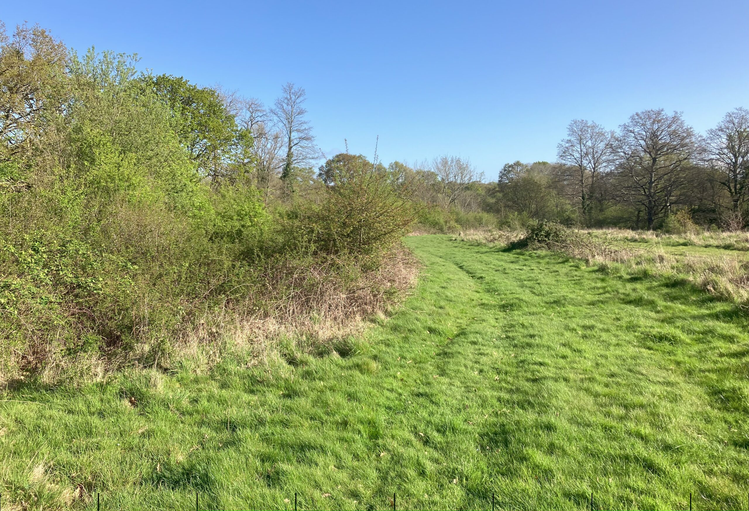 Fairoak Farm ride by Rachel Bicker