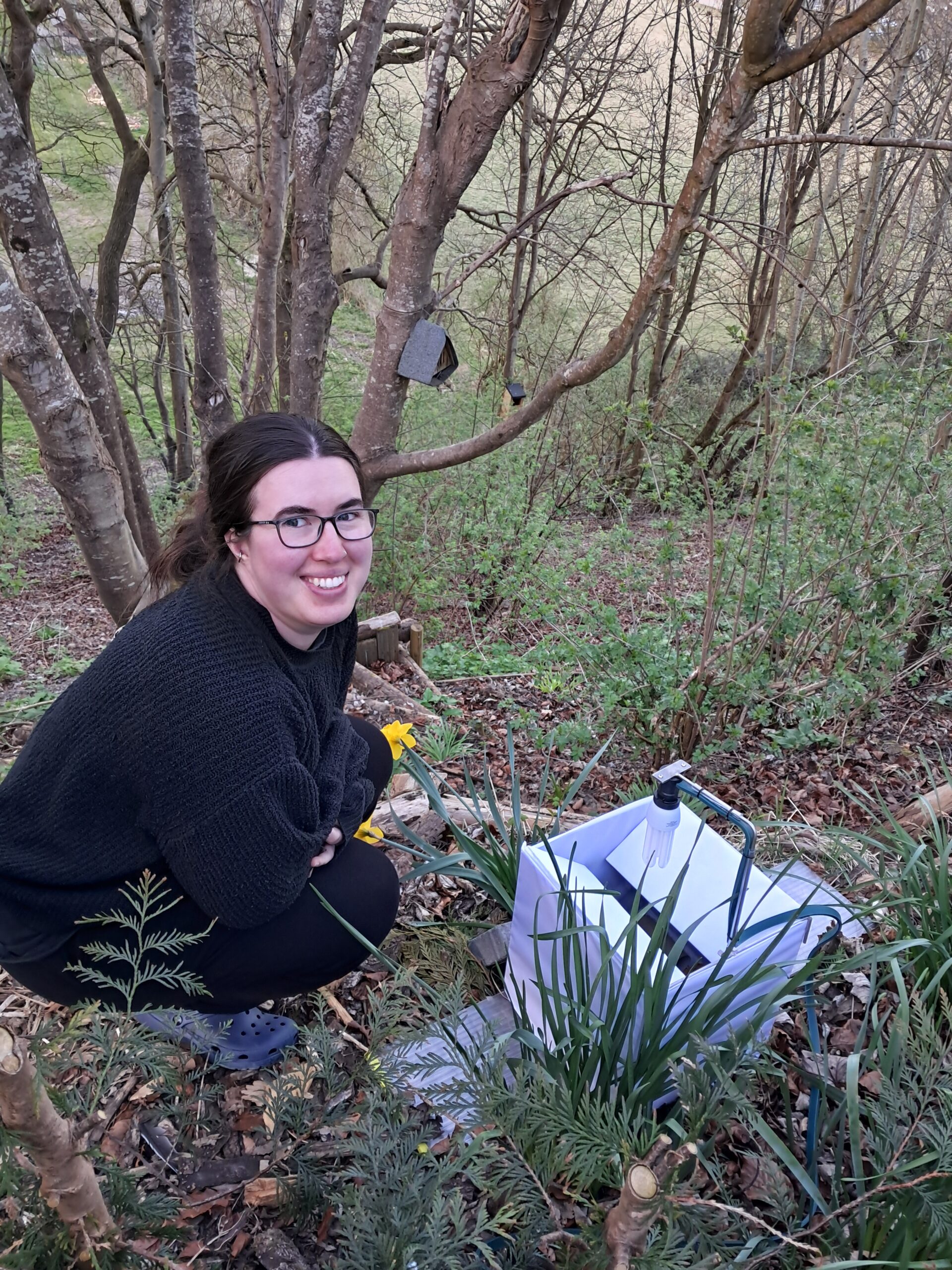 Greening Steyning moth trap May 2025 Greening Steyning moth trap May 2025