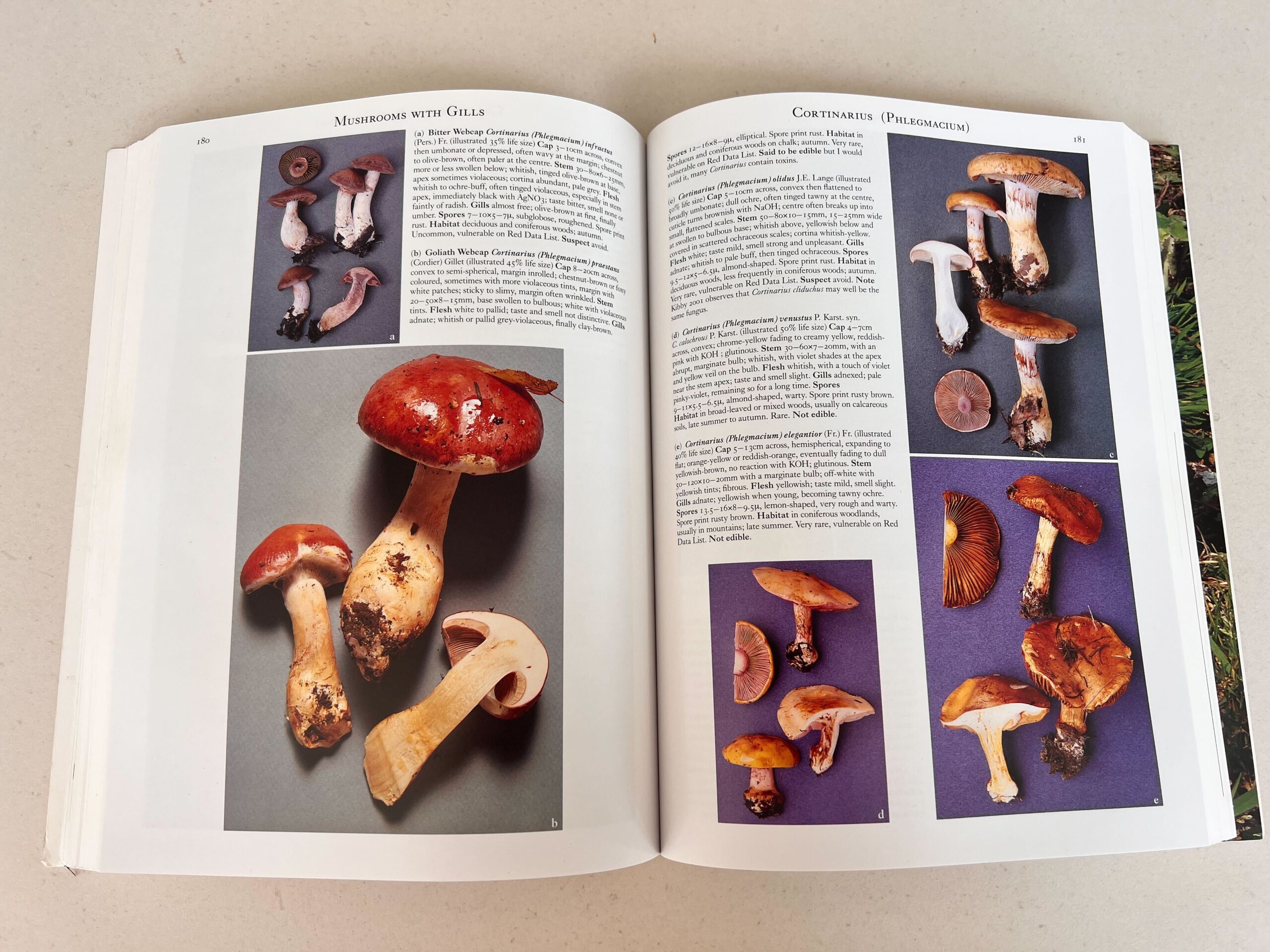 Mushrooms by Roger Philips Mushrooms by Roger Philips