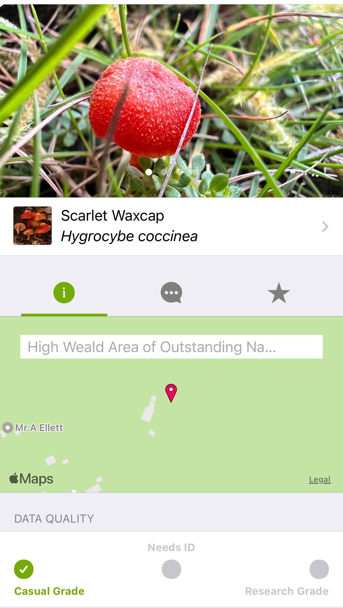 iNaturalist app iNaturalist app