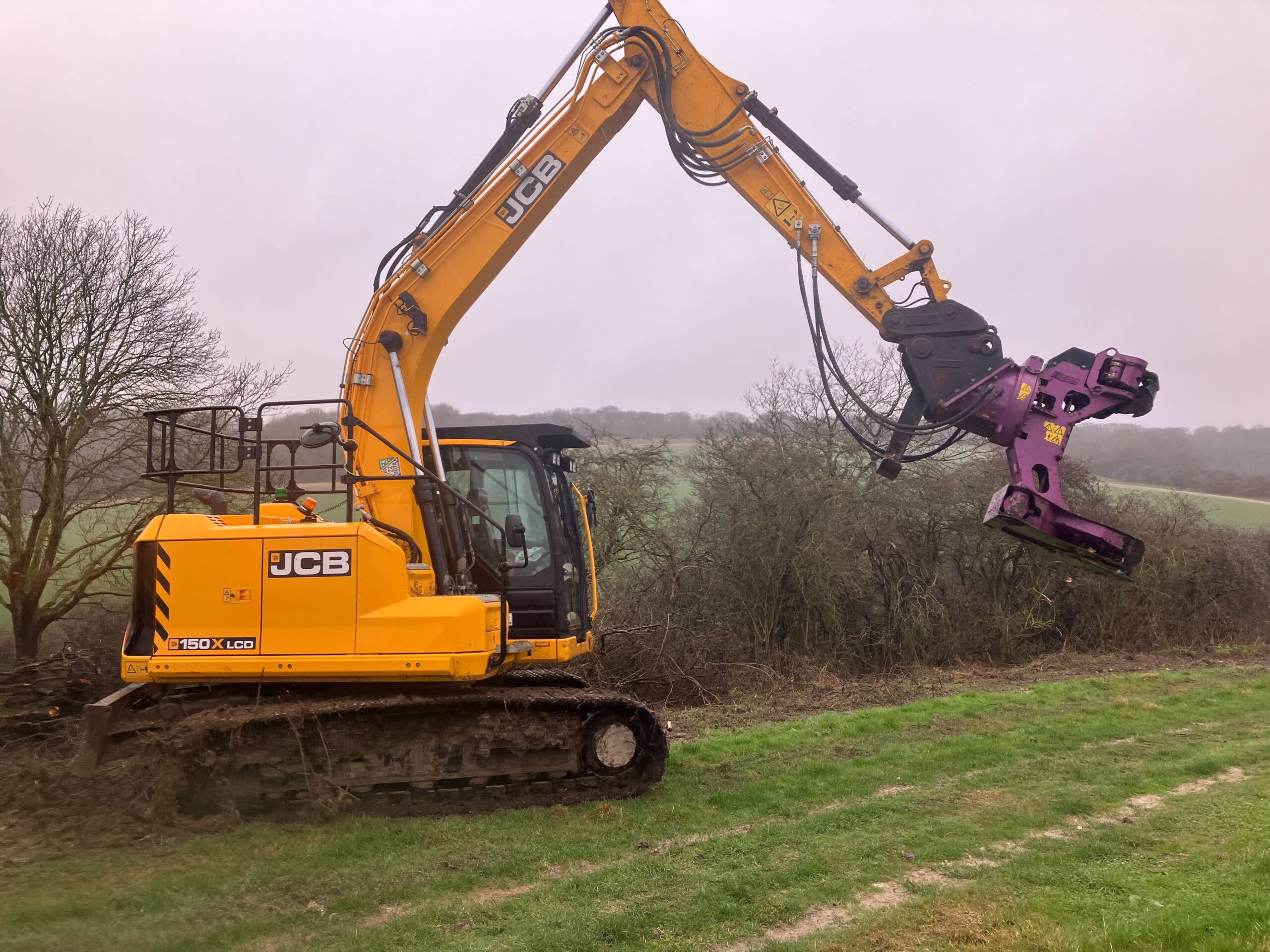Scrubland superheroes scrubland management 