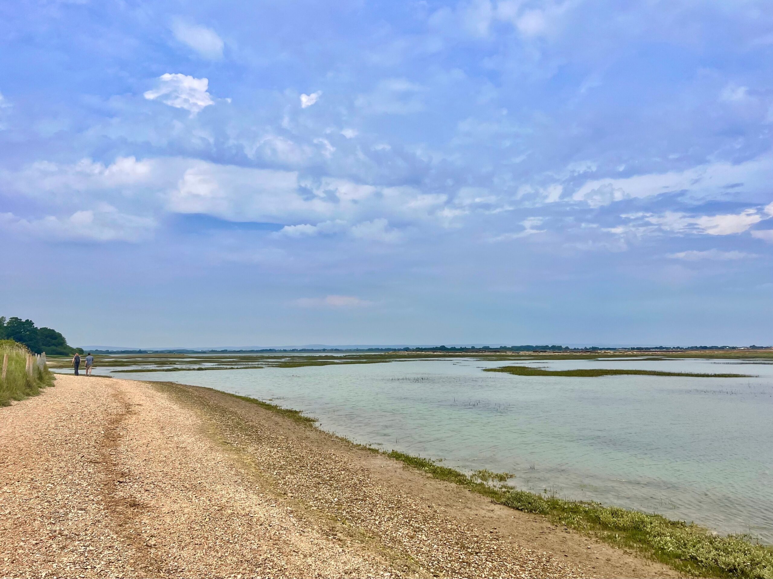 Shingle shore Shingle shore