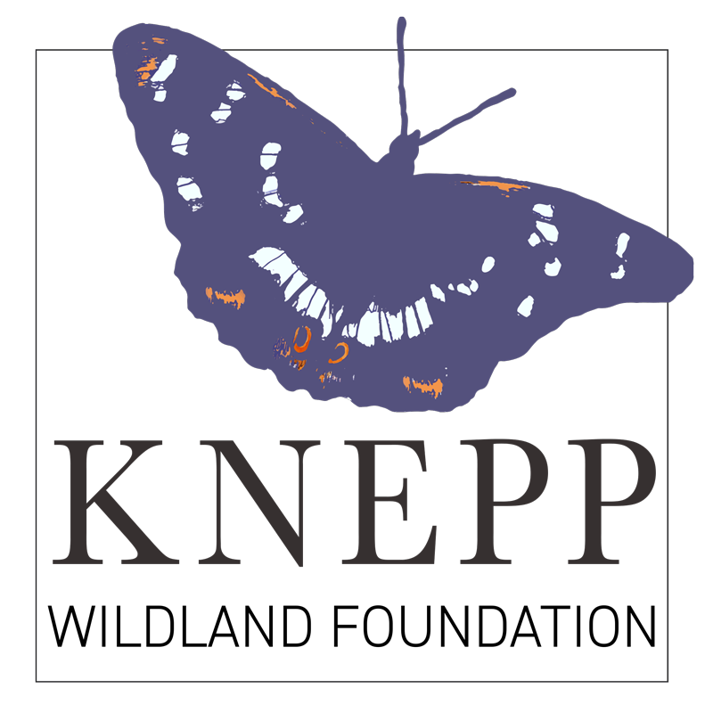 KWF square logo