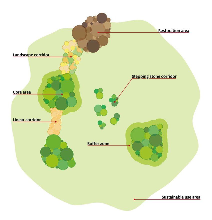Making space for nature, the Lawton report (2010)