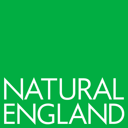 NatEng_logo_New-Green-RGB