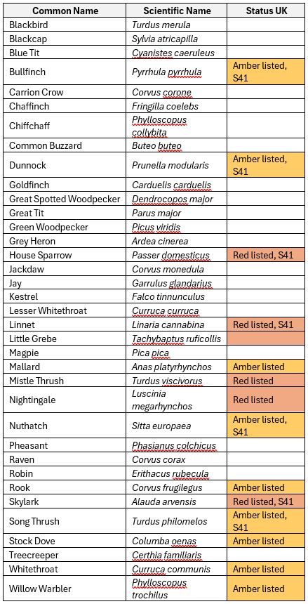 Scrubland species table. Rachel Bicker (Scrubland Superheroes project)
