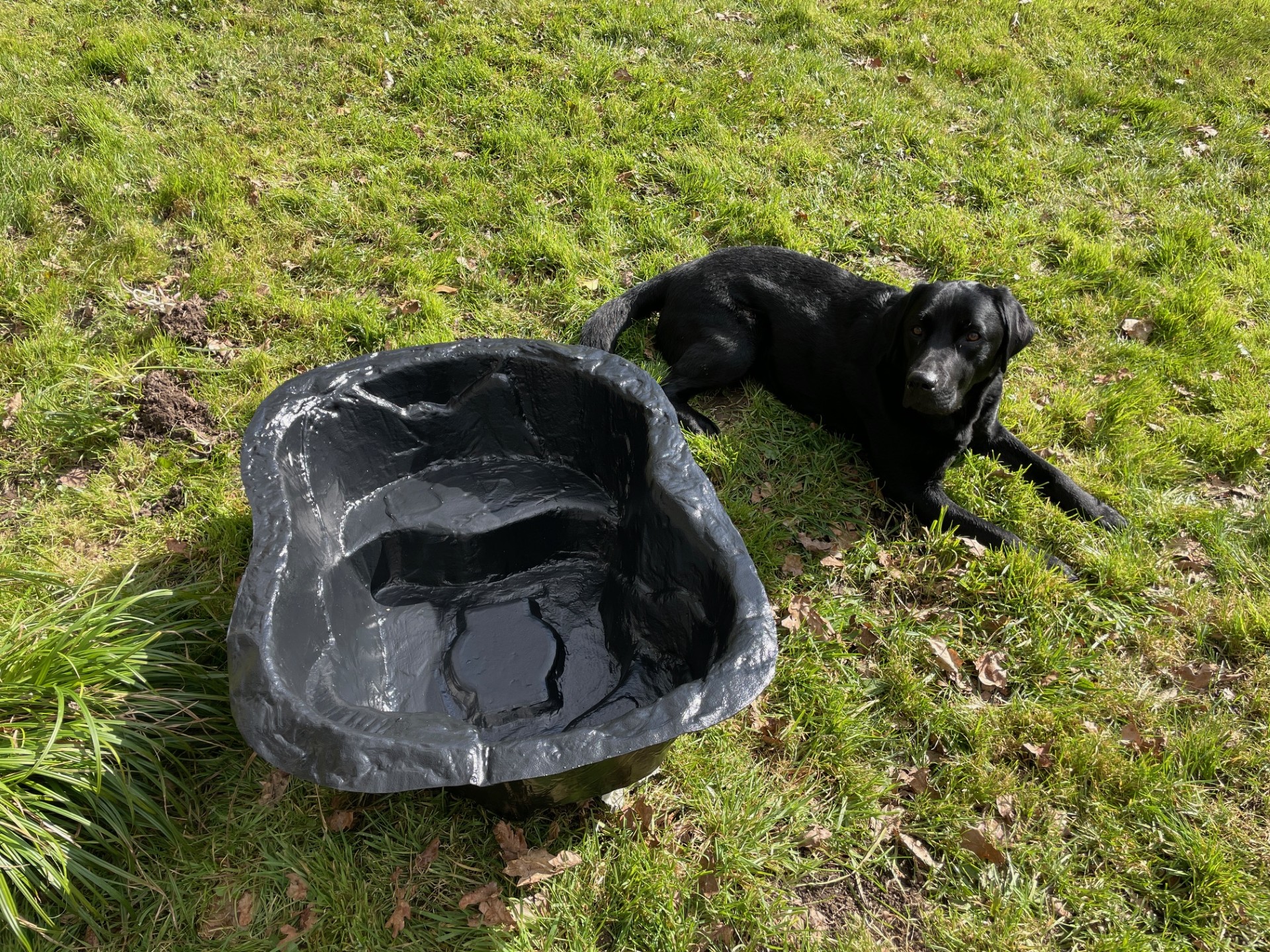 Building a wildlife pond, Gemma Lovegrove