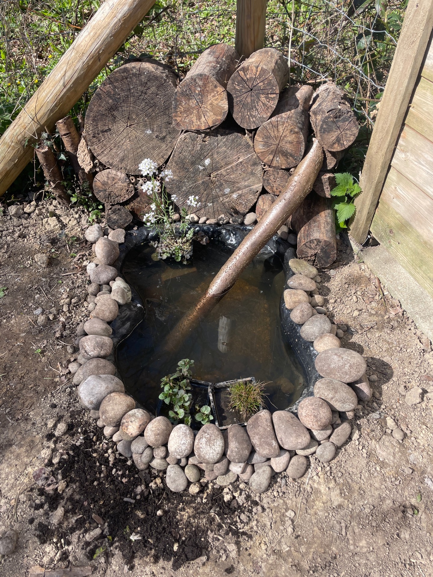 Wildlife pond, Gemma Lovegrove