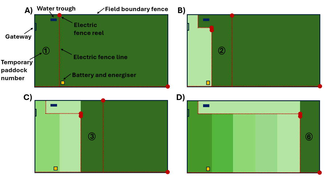 Mob grazing field division, by Ryan Ellis