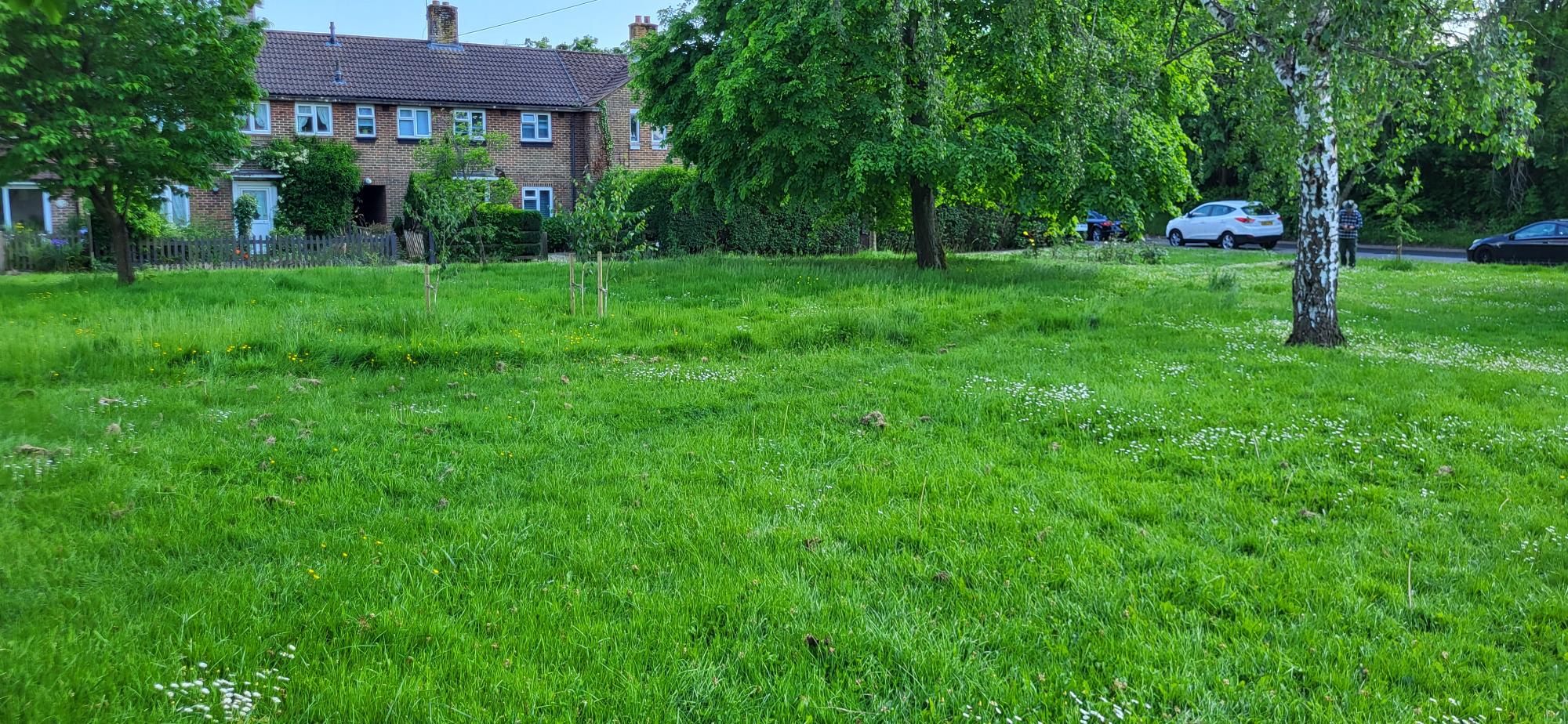 Jolesfield Common, GREENstead Climate Action Group