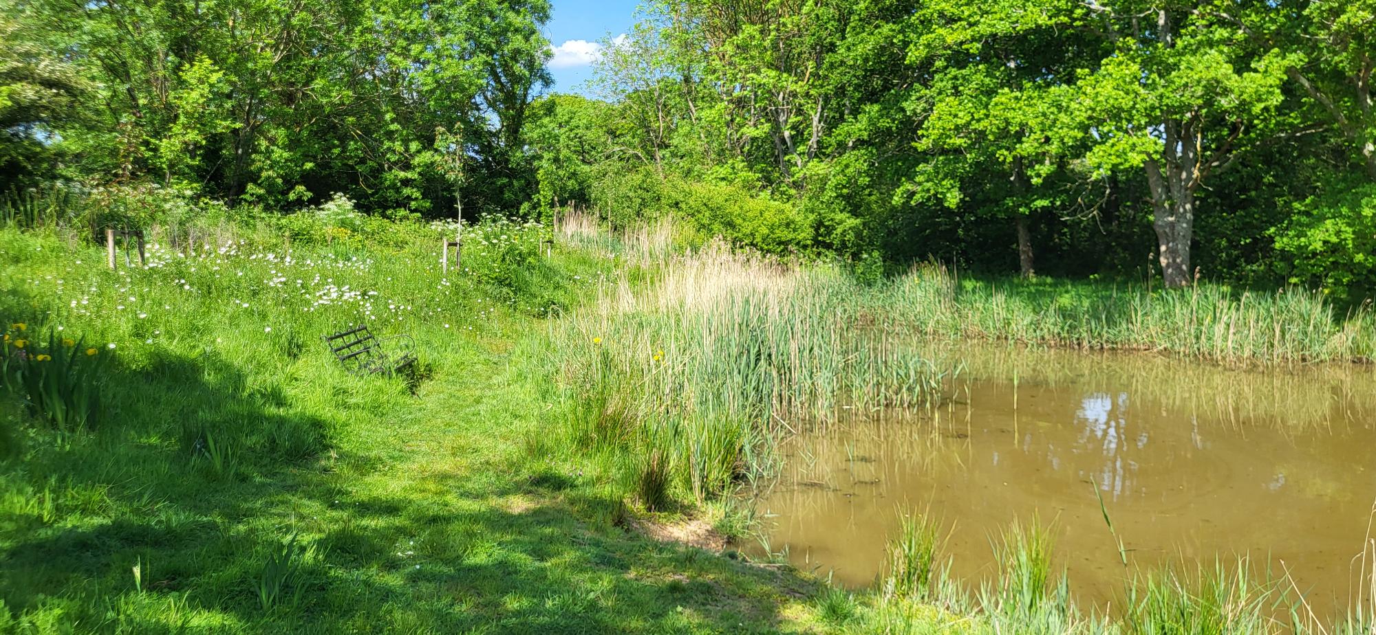 Pond, GREENstead climate action group